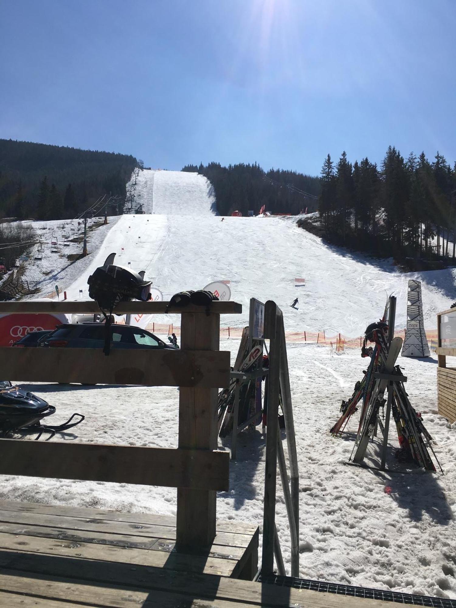 Apartman Medvedin 100 Spindleruv Mlyn Exterior foto